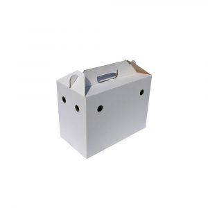 Caja de Cartón para Paloma