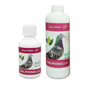Columbo-Vit Salmonella – Tratamiento de Salmonella en Palomas